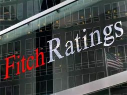 Fitch assigns stable outlook to ReNew RG II’s $525 million notes at BB