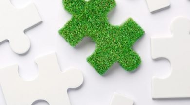 Lessons from leaders on green business building
