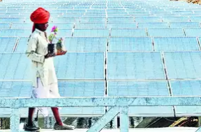 Centre identifies 9 solar parks in Rajasthan for devpt